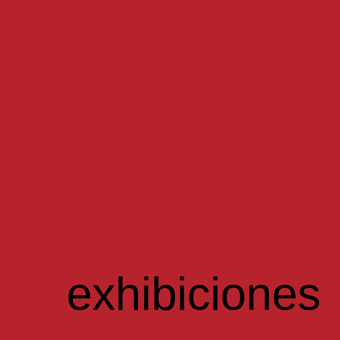 exhibiciones plaroig barcelona