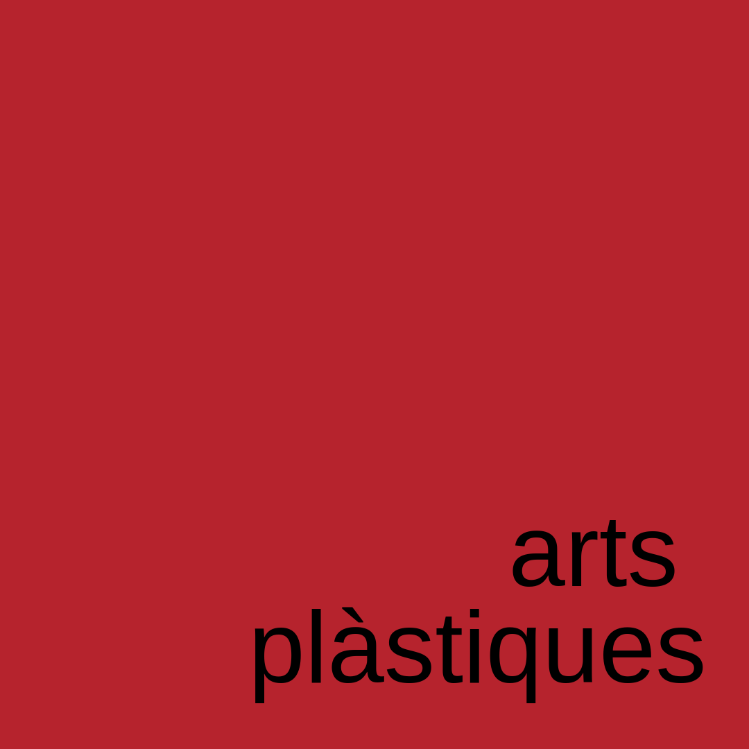 arts plàstiques