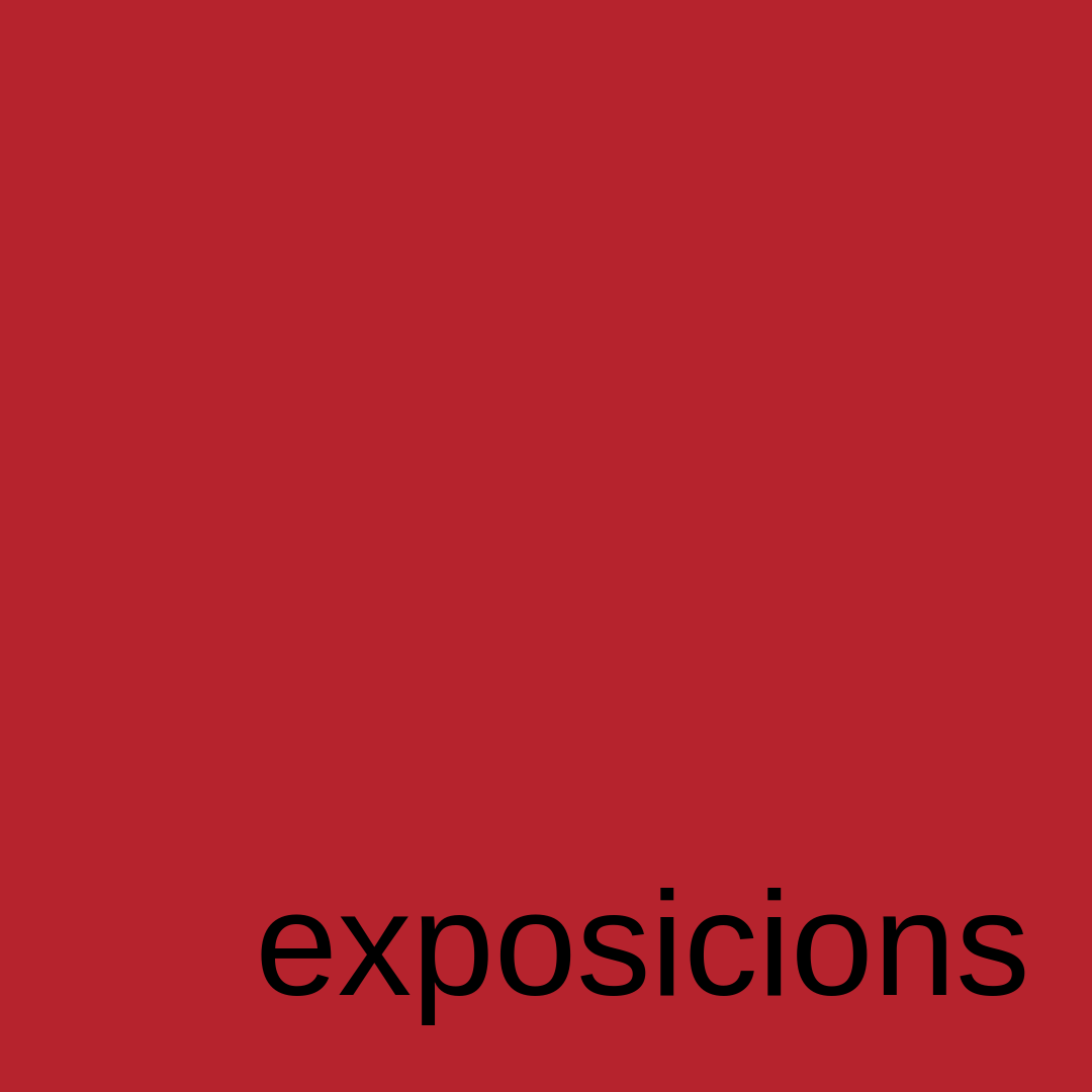 plaroig exposicions