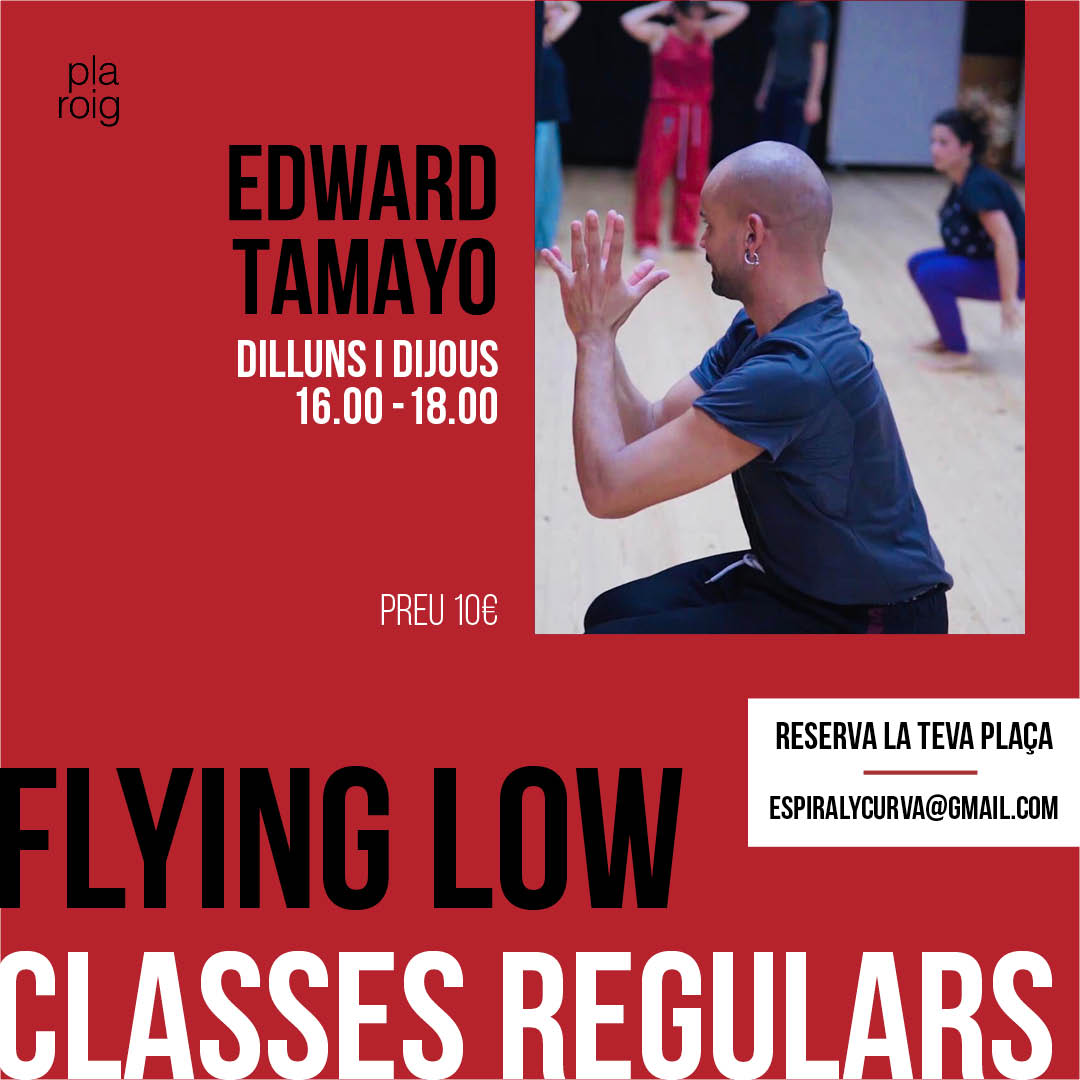 CAT_Flying low