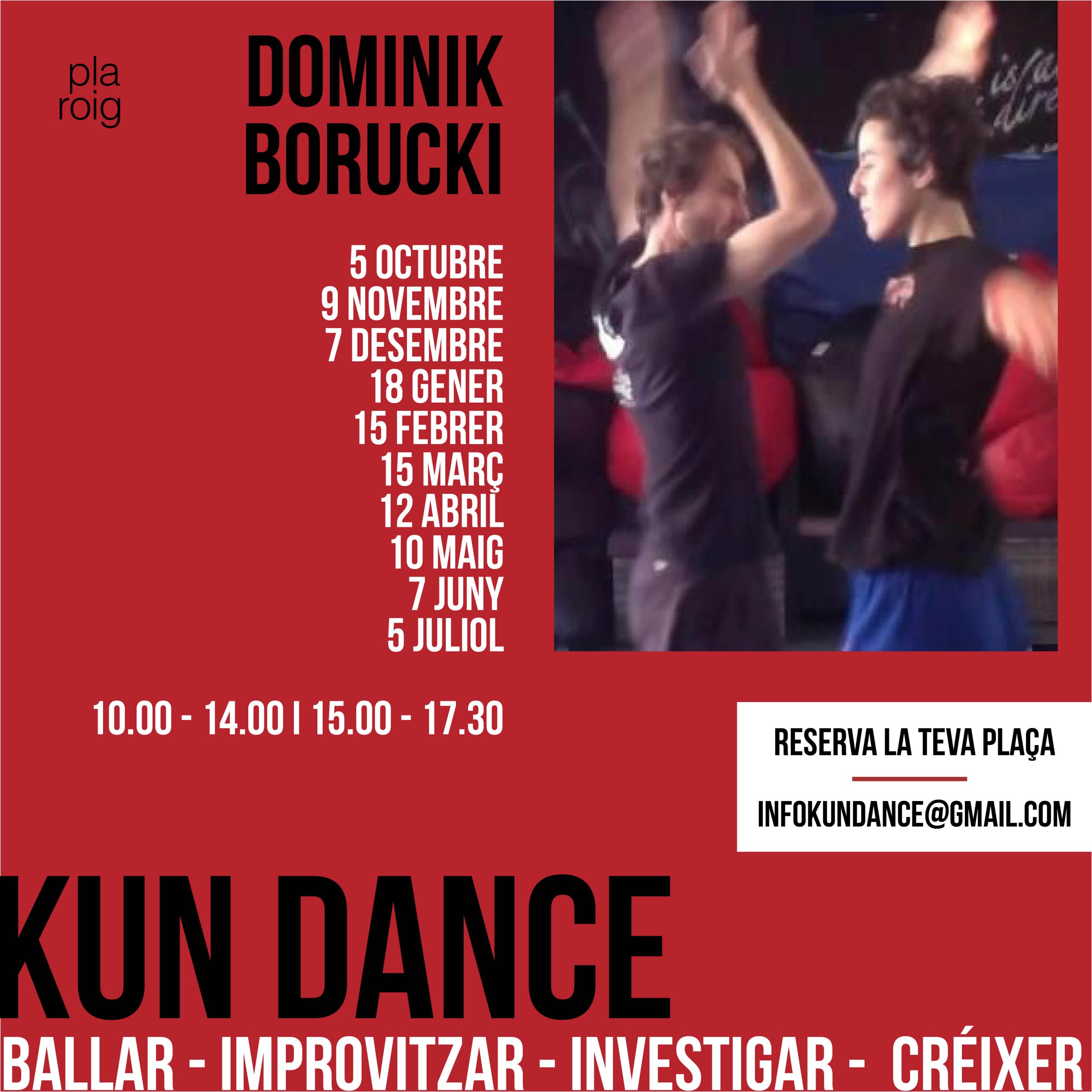Kun dance 2026 cat
